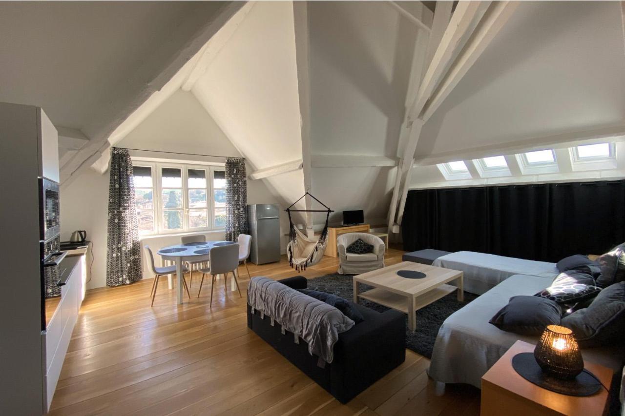 Demeure Saint Louis Historic Manor, City 700M, Parking,A C,Clim,Wifi, Heated Pool, City View Carcassonne Dış mekan fotoğraf