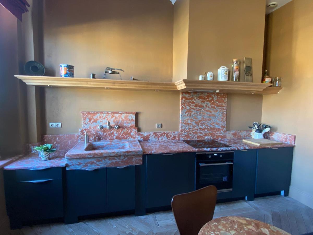Demeure Saint Louis Historic Manor, City 700M, Parking,A C,Clim,Wifi, Heated Pool, City View Carcassonne Dış mekan fotoğraf