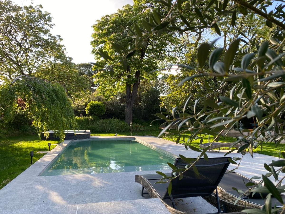 Demeure Saint Louis Historic Manor, City 700M, Parking,A C,Clim,Wifi, Heated Pool, City View Carcassonne Dış mekan fotoğraf