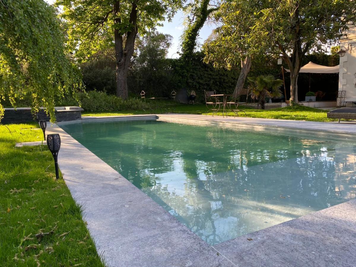 Demeure Saint Louis Historic Manor, City 700M, Parking,A C,Clim,Wifi, Heated Pool, City View Carcassonne Dış mekan fotoğraf
